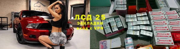 винт Гусев