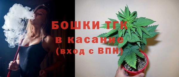 гидропоника Горняк
