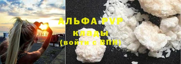 стаф Горно-Алтайск