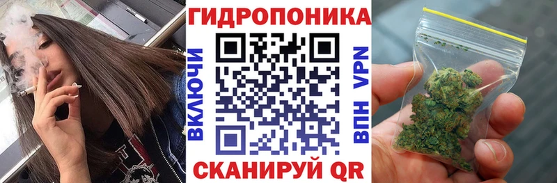Бошки марихуана гибрид Новомосковск